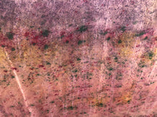 Charger l'image dans la galerie, HOLI Bundle #4