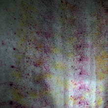 Charger l'image dans la galerie, HOLI Bundle #6