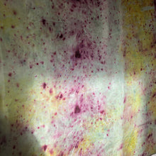 Charger l'image dans la galerie, HOLI Bundle #6