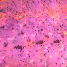 Charger l'image dans la galerie, HOLI Bundle #8