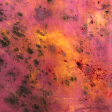 Charger l'image dans la galerie, HOLI Bundle #9