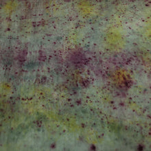 Charger l'image dans la galerie, HOLI Bundle #13